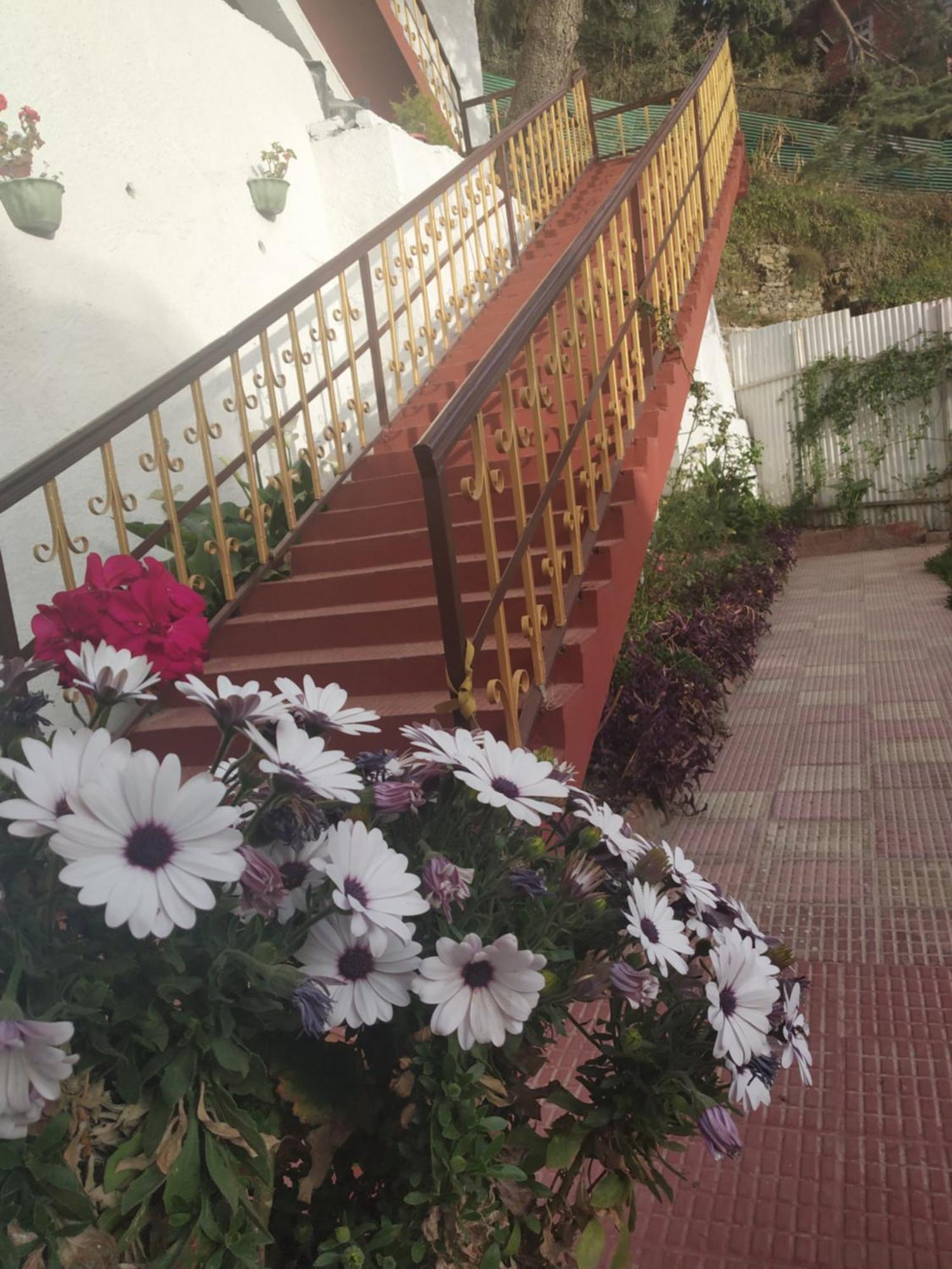 Garden Cottages Shimla Exterior foto