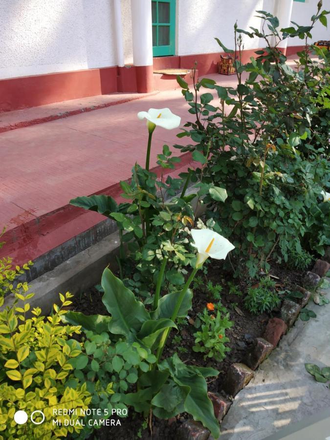 Garden Cottages Shimla Exterior foto